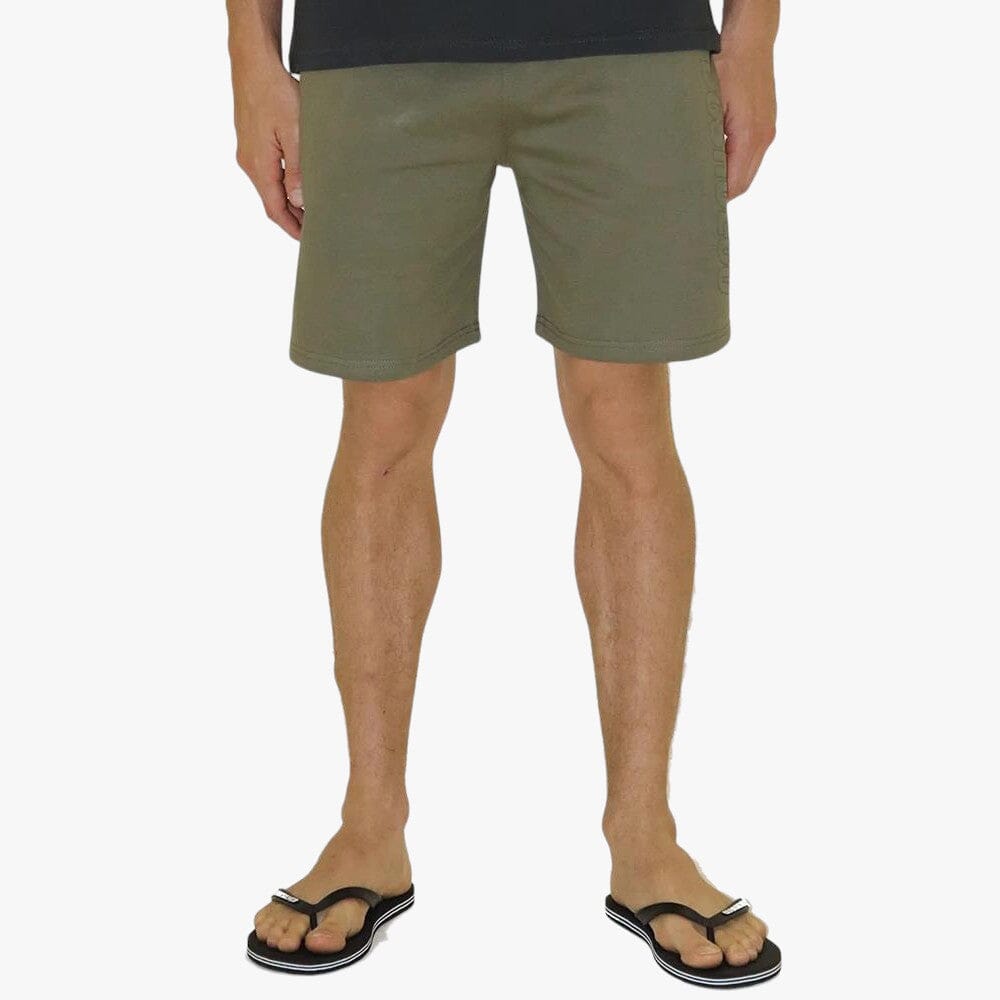 Dc Boys Rogers Shorts Ivy Green Dc