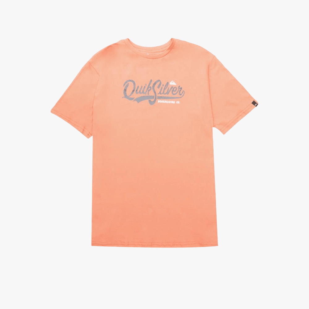 Quiksilver Boys Pool Short Sleeve Tee Cider Quiksilver