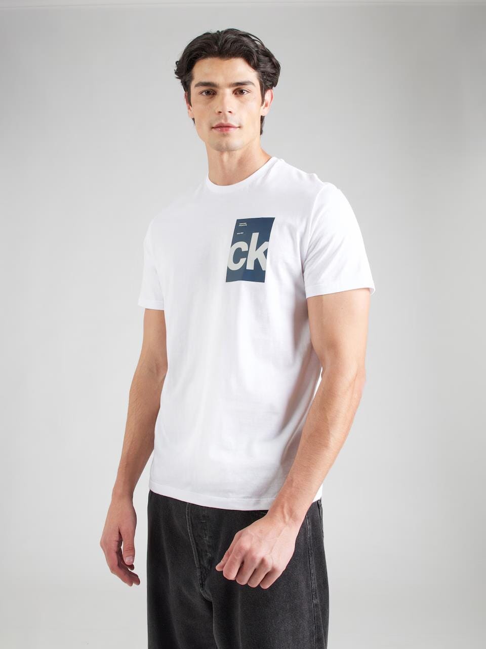 Calvin Klein Mens Box Graphic Tee White | Calvin Klein