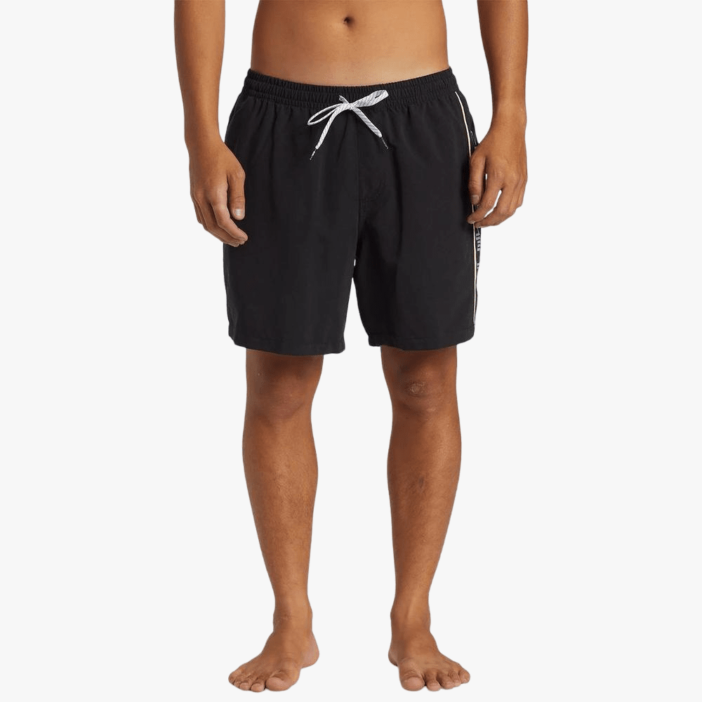 Quiksilver Mens Everyday Vert Volley 2 17" Shorts Black | Quiksilver