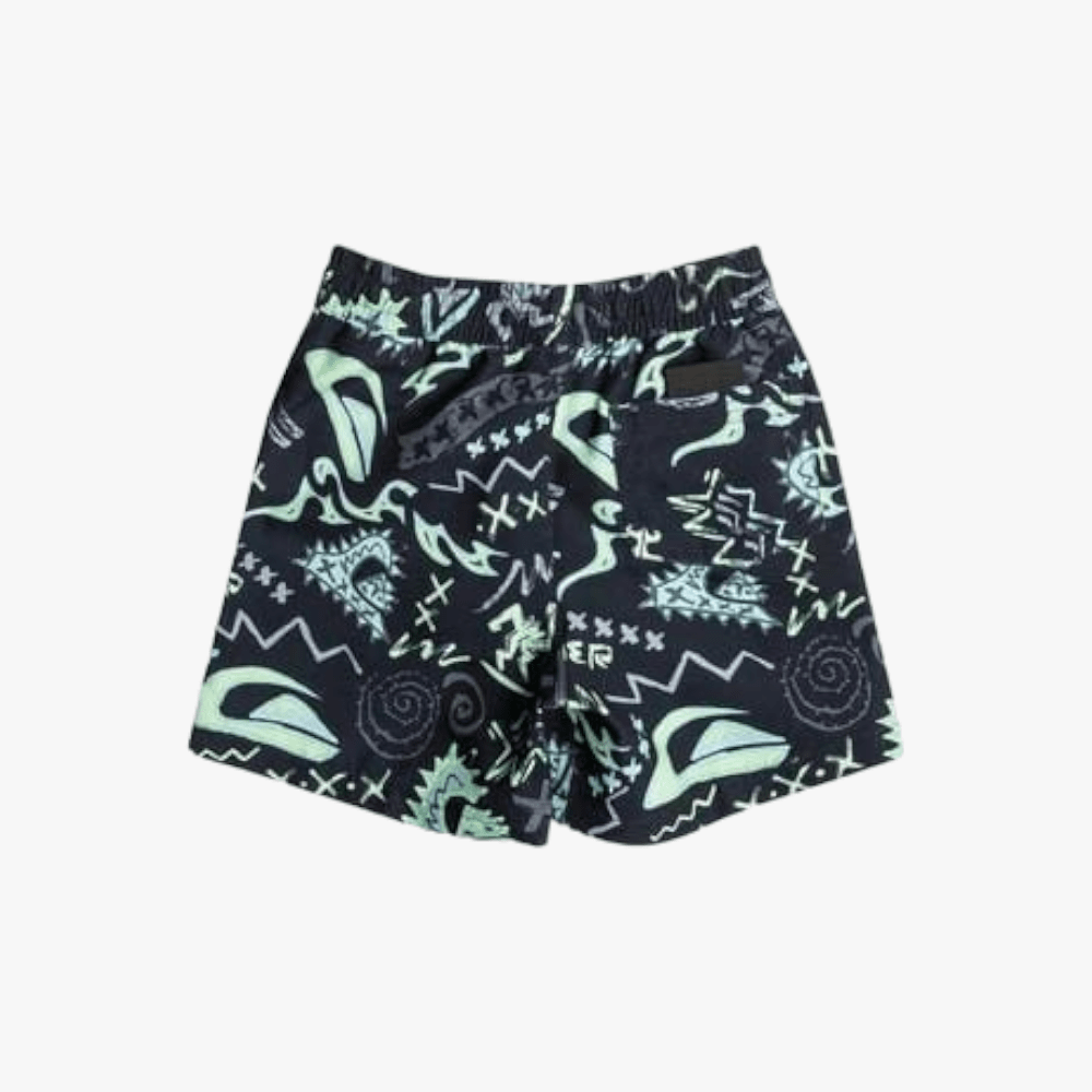 Quiksilver Boys Next Gen Volley 12" Shorts Black | Quiksilver