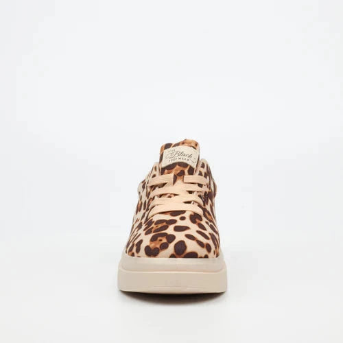 Miss Black Womens Pilot 1 Sneaker Leopard | Miss Black