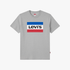 Levis Boys Graphic Short Sleeve Tee Grey | Levis