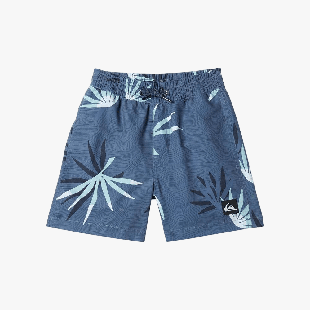 Quiksilver Boys Everyday Mix Volley Shorts Blue Nights