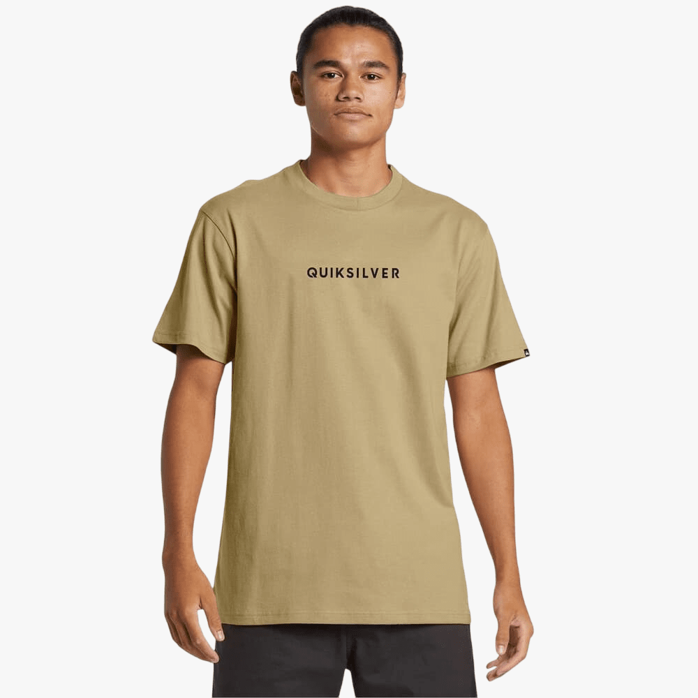 Quiksilver Mens Wordmark Short Sleeve Tee Aloe | Quiksilver