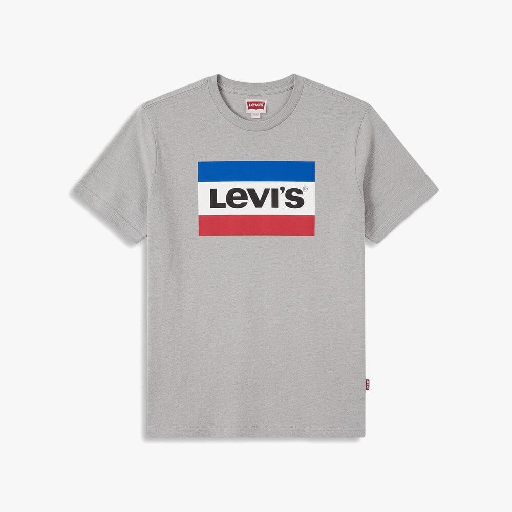 Levis Boys Graphic Short Sleeve Tee Grey | Levis