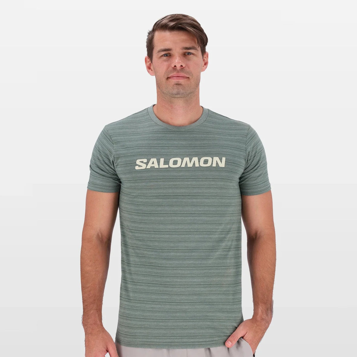 Salomon Mens Preston Tee Laurel Wreath Stripe