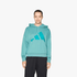 Adidas Womens Ft Hoodie 2 Power Tea | Adidas