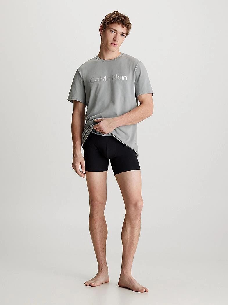 Calvin Klein Mens Griffen  Tee Grey