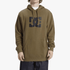 Dc Mens Star Ph Hoodie Heather Covert Green | DC