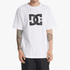 Dc Mens Dc Star Short Sleeve Tee White | DC