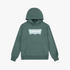 Levis Boys Pullover Hoody Dark Firest | Levis