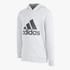 adidas Mens Bl Ft Hooded Sweater Grey | adidas