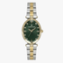 Daniel Klein Premium Green Dial Analogue Watch | Daniel Klein