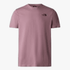 The North Face Mens Redbox Celebration Short Sleeve Tee Fawn Grey | The North Face