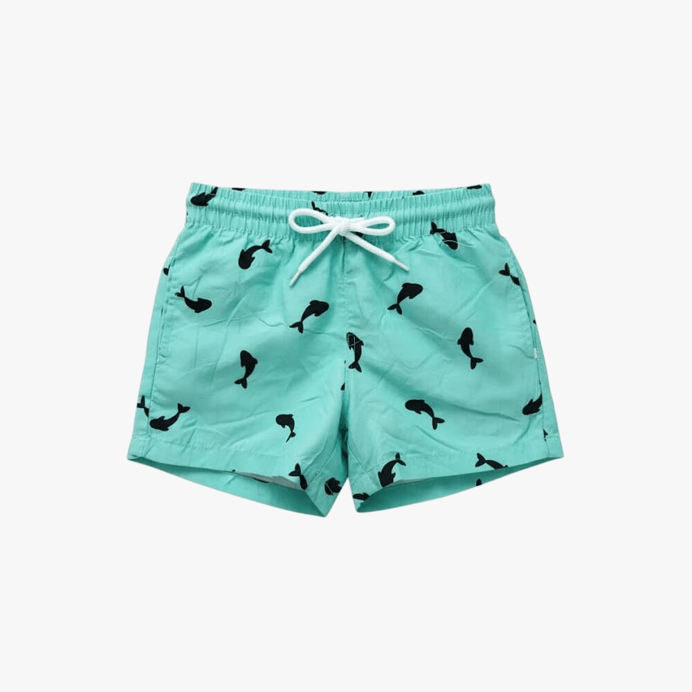 Venice Beach Boys Swim Shorts Turquoise | No Rules
