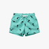 Venice Beach Boys Swim Shorts Turquoise | No Rules