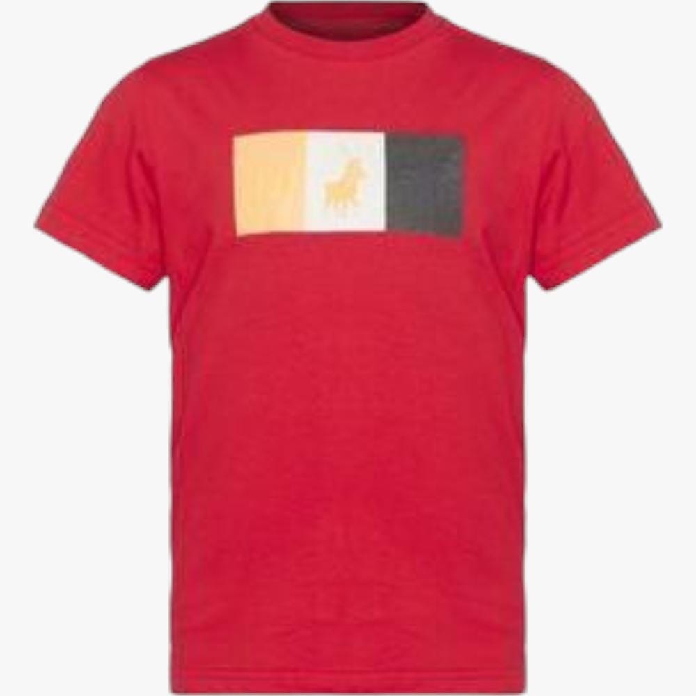Polo Boys Cooper Short Sleeve Tee Red Polo