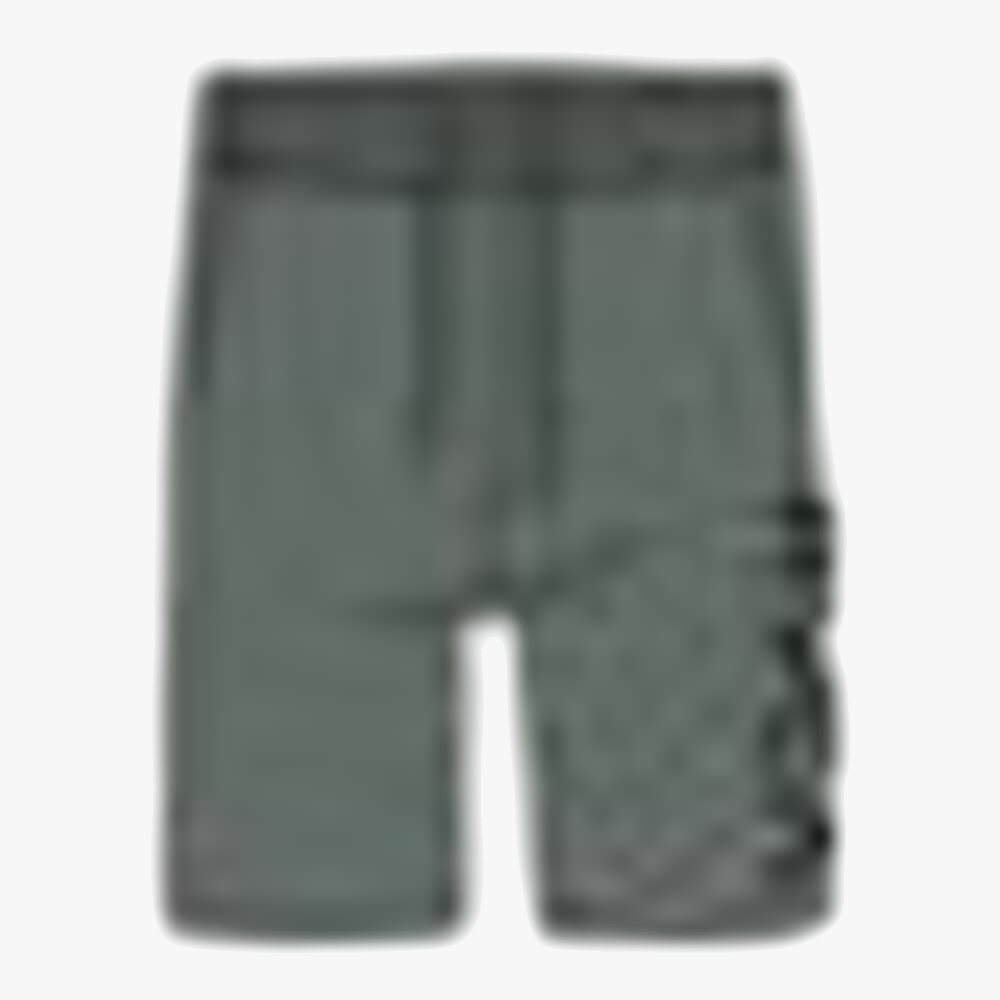 Rvca Mens Big Rvca Shorts Agave | Rvca