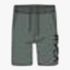 Rvca Mens Big Rvca Shorts Agave | Rvca
