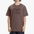 Dc Mens Star Short Sleeve Tee Plum Truffle | DC