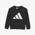 Adidas Boys Bl Sweater Black | Adidas