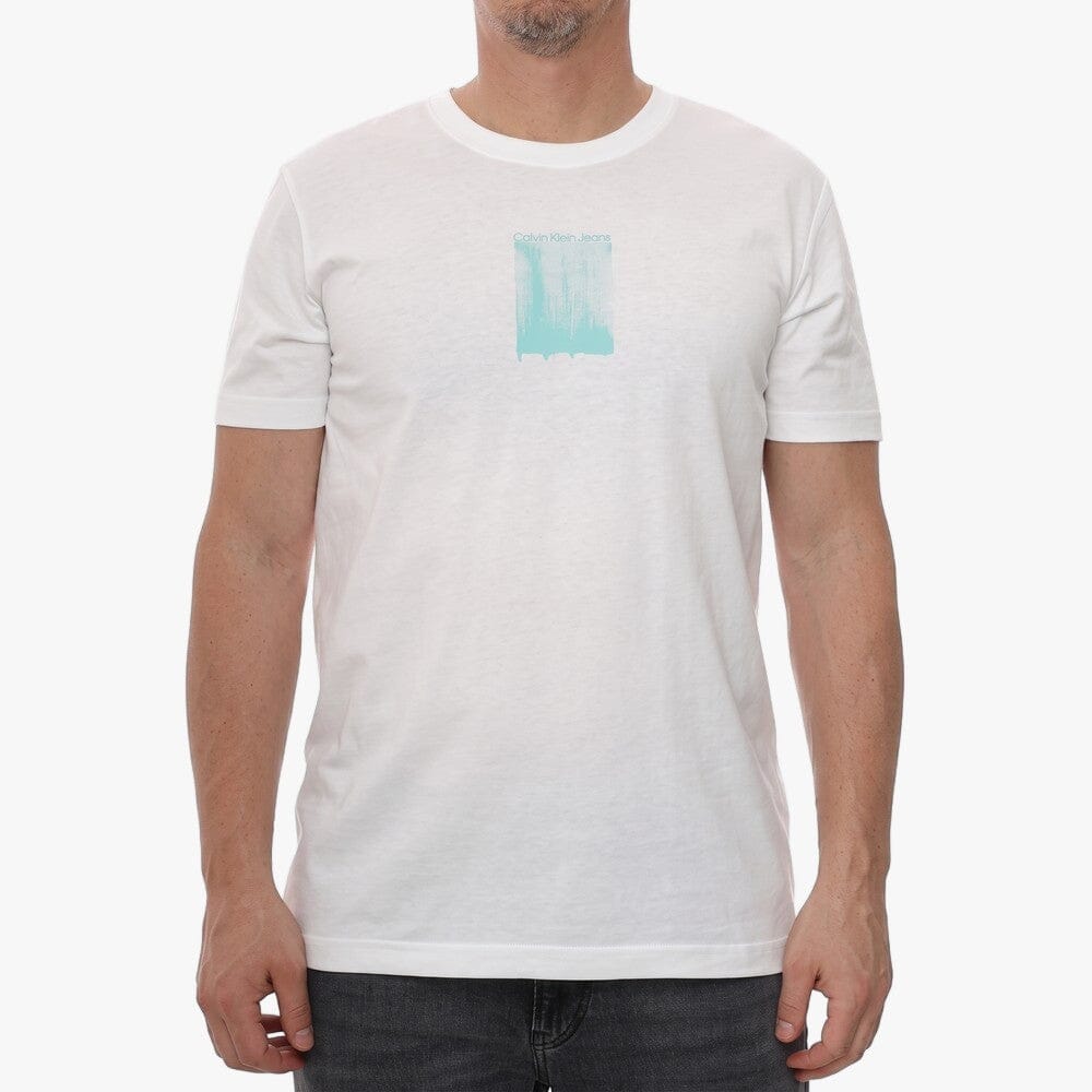 Calvin Klein Mens Brush Stroke Logo Tee White | Calvin Klein