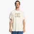 Dc Mens Star Short Sleeve Tee Pelican | DC