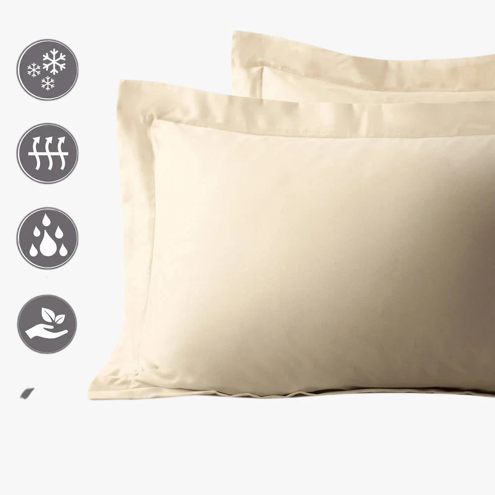 Cotton Co 400 Thread Oxford Standard 45X70 Pillow Case 2 Pack Cream | Cotton Co