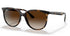 Rayban Havana Frame Brow Gradientbrown Lens Sunglass *4Ab | Rayban