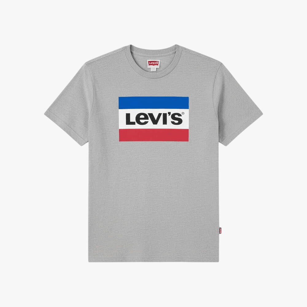 Levis Boys Graphic Short Sleeve Tee Grey | Levis