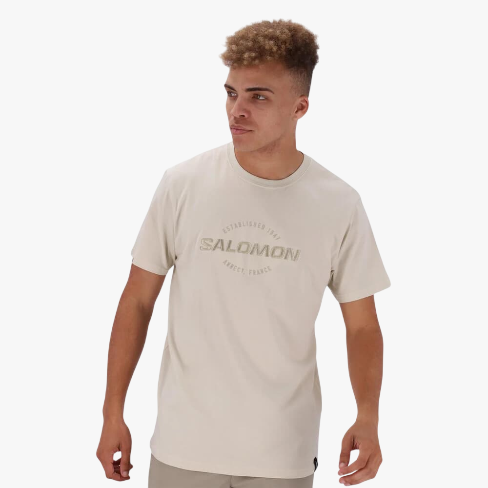 Salomon Mens Vision Ii Short Sleeve Tee Pumice Stone