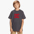Young boy wearing a dark grey DC Boys Star Short Sleeve Tee with a red DC Shoes logo on the front.