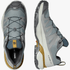 Salomon Mens X Ultra 360 Hking Shoe Sedona Sage Wrought Iron Plantation | Salomon