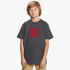 Dc Boys Star Short Sleeve Tee Magnet | DC