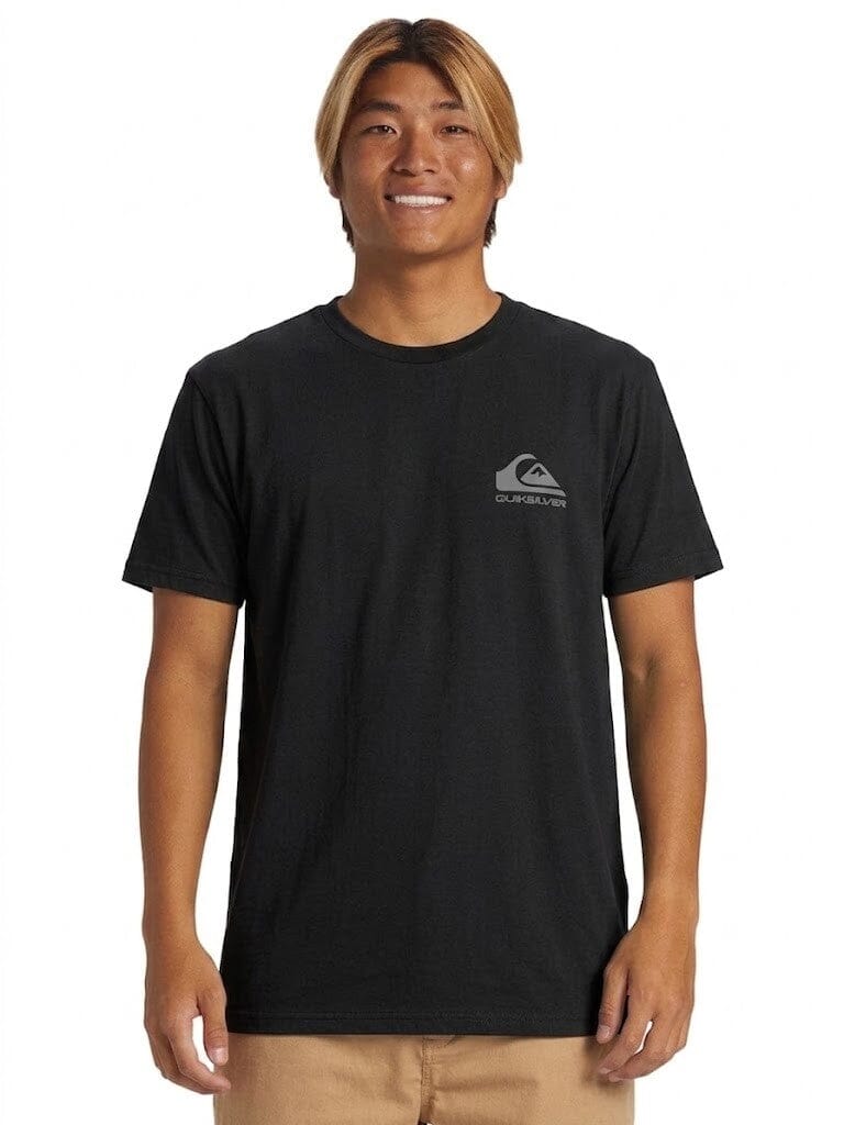 Quiksilver Mens Corp Logo Mini Tee Black | Quiksilver
