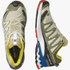 Salomon Mens Xa Pro 3D V9 Hiking Sneaker Rainy Day White Lapis | Salomon