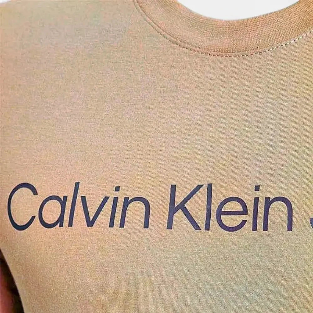 Calvin Klein Mens Institutional Logo Short Sleeve Tee Burnt Orange | Calvin Klein