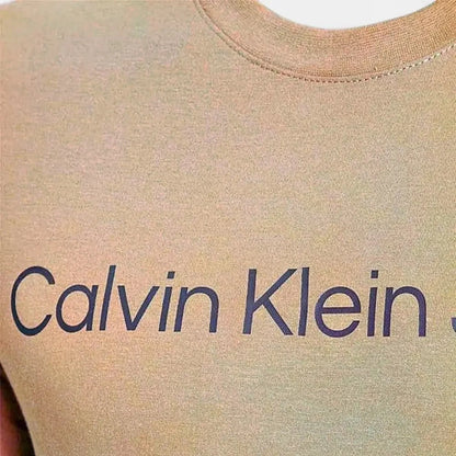 Calvin Klein Mens Institutional Logo Short Sleeve Tee Burnt Orange | Calvin Klein