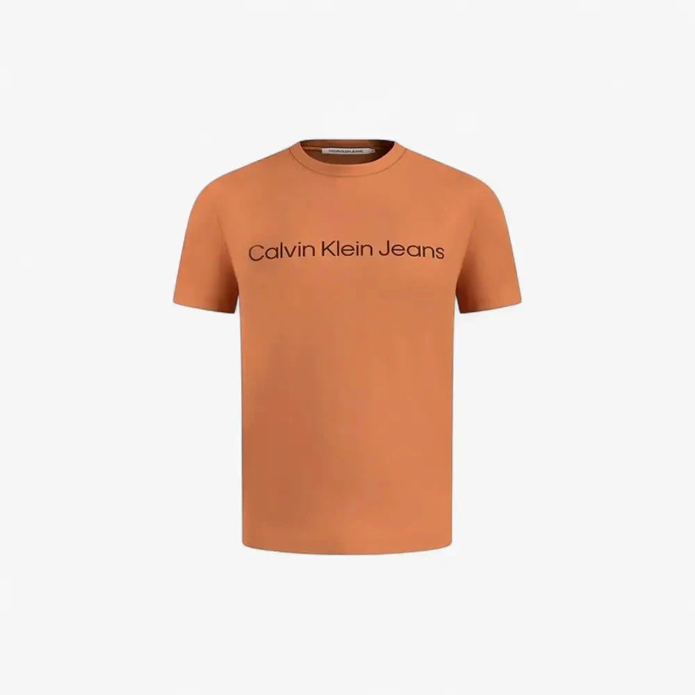 Calvin Klein Mens Institutional Logo Short Sleeve Tee Burnt Orange | Calvin Klein