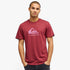 Male model wearing an oxblood red Quiksilver Corp Logo short sleeve tee with a pink wave logo on the chest, hands in pockets.