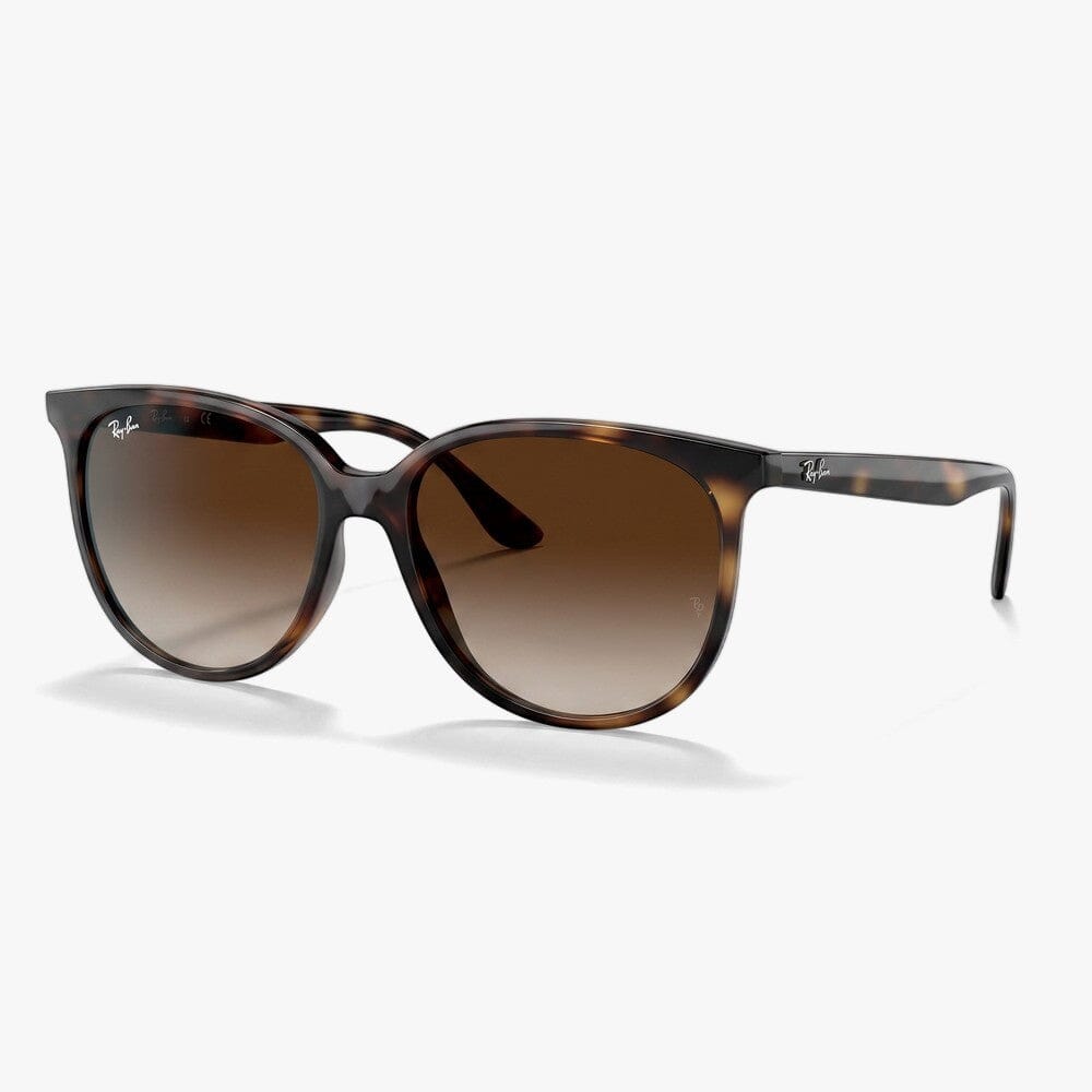 Rayban Havana Frame Brow Gradientbrown Lens Sunglass *4Ab | Rayban