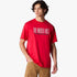 Male model wearing a red The North Face Est 1966 Short Sleeve Tee with white logo and brown cargo shorts, waist up.